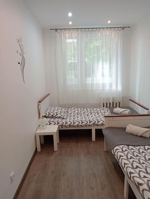Apartament Queen Malbork Exterior foto
